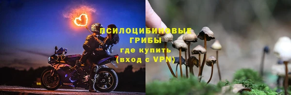 дурь Белоозёрский