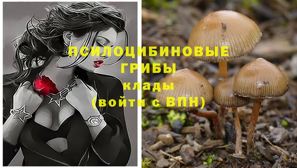 альфа пвп VHQ Белокуриха
