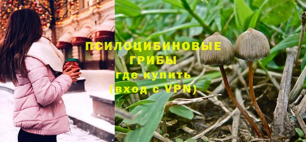 дурь Белоозёрский