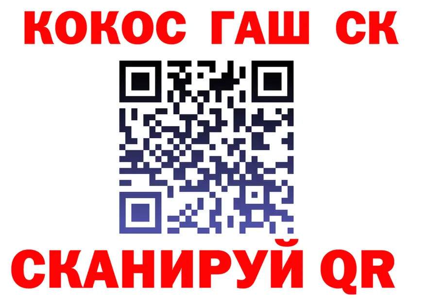 ТГК концентрат ТОР площадка mega Тайга