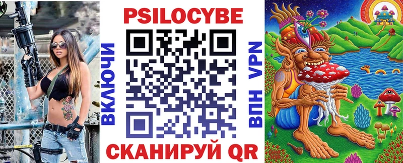 Галлюциногенные грибы Psilocybe  Купить где  Тайга 